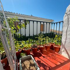 Casa  La muela 21. Casa rural en venta en cortijo blanco periana, 2