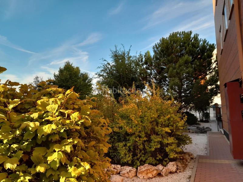 Foto bb3783d8-d43a-4117-a7a3-a58df8a73654. Pis amb calefacció aparcament piscina a Butarque Madrid