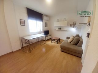 Alquiler Apartamento  Plaza de la trinidad. Apartamento amueblado, 1 dormitorio, wifi opcional