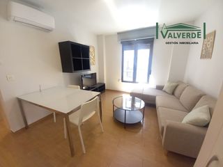 Rent Apartment  Plaza de la trinidad. Apartamento luminoso, amueblado, wifi opcional