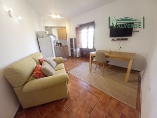 Affitto Piccolo appartamento  Plaza de gracia. Apartamento con 2 balcones, agua incluida, wifi opcional