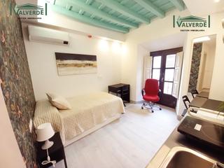 Alquiler Estudio  Calle pavaneras