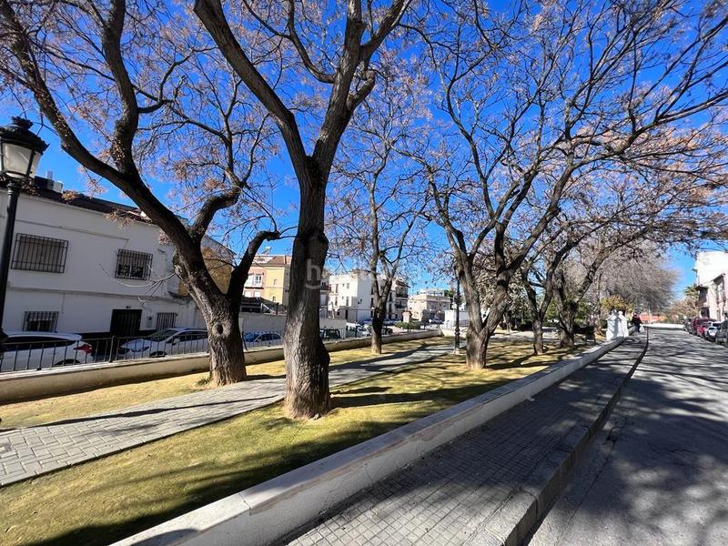 Foto 337fa5d9-e5ee-4768-8f39-03d1af2f4a24. Piso  en venta en calle álamos, las tinajerías juderías, córdoba en Lucena
