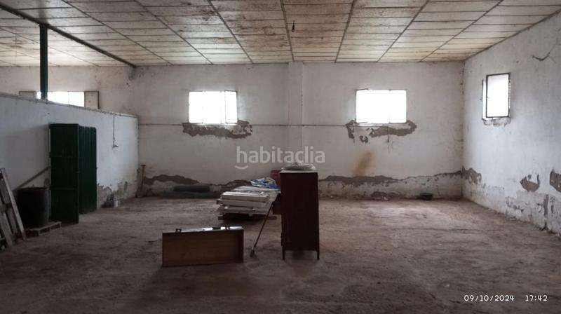 Foto 41b8a352-27f7-4df8-bbcf-46a0db842792. Bâtiment à usage industriel dans Poleares Lucena