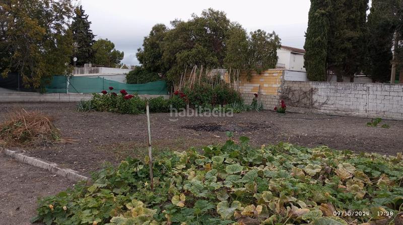 Foto 42ed1b10-50b8-4c19-b3a0-4857402e86b6. Bâtiment à usage industriel dans Poleares Lucena