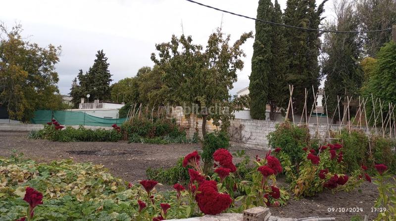 Foto 87bfbcc3-e75e-42aa-9304-ab86c4c8fb1f. Bâtiment à usage industriel dans Poleares Lucena