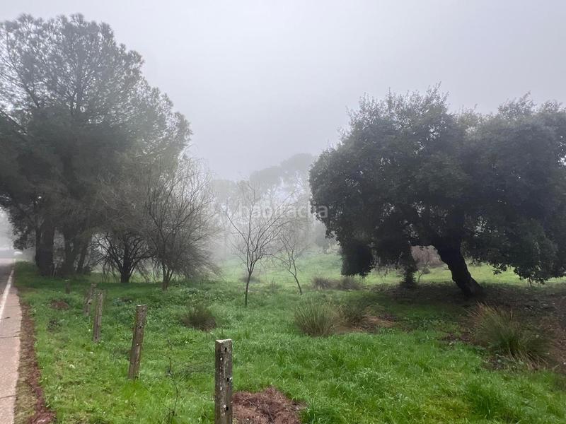 Foto 0f8c5020-ce94-4193-9535-e2f20bf48309. Terreny residencial a Cerro Muriano Córdoba