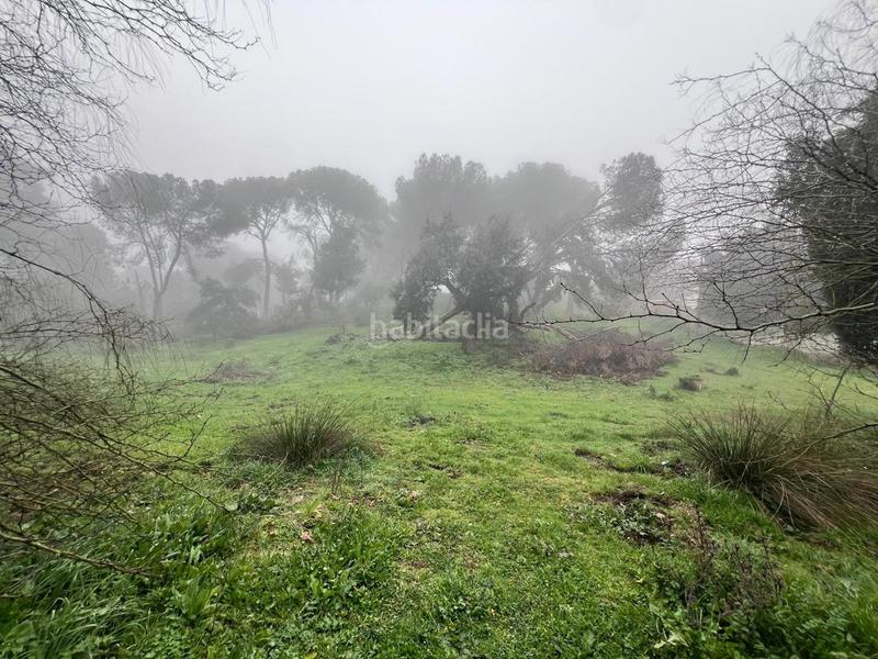 Foto 1b3a73e2-02aa-4be7-a922-b3c736b7ab05. Terreny residencial a Cerro Muriano Córdoba