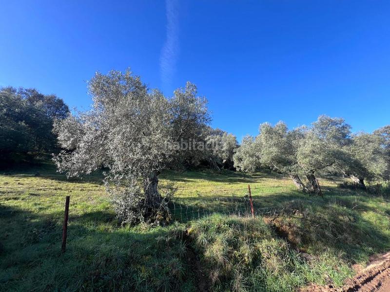Foto 64256674-52cf-4382-99b4-5d8ce2cec649. Terreno residencial finca rústica en paraje en Villanueva del Rey