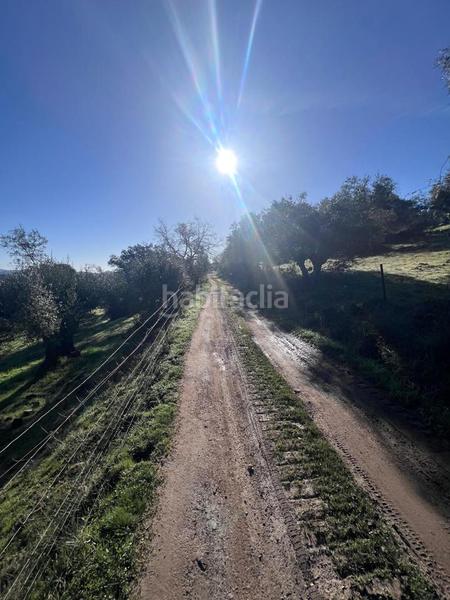 Foto aba581d1-584c-48bf-9405-742136eb836d. Terreno residencial finca rústica en paraje en Villanueva del Rey