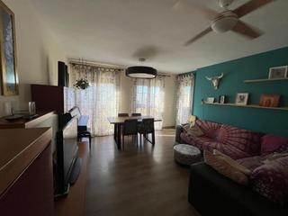 Rent Flat in El Real