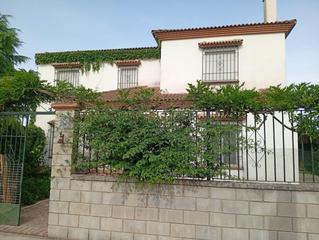 Casa  Diseminado diseminados. Gran chalet independiente, huertas de alcantarilla