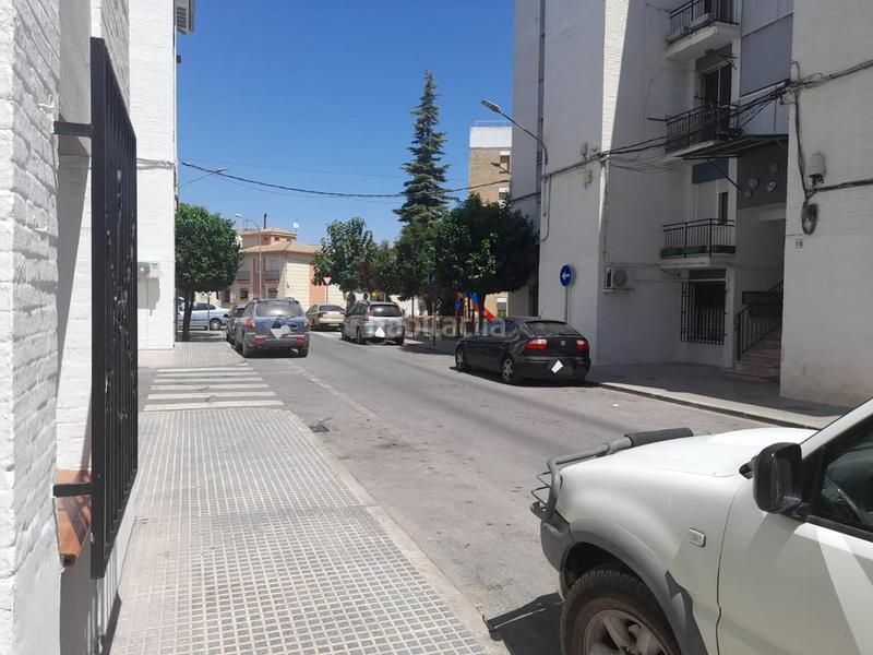 Foto d4795884-528d-41c7-9dde-ace6d174e96d. Pis a Priego de Córdoba