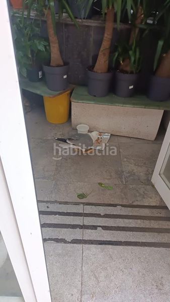 Foto aaf73223-7f15-4959-8cfc-48c927964855. Fabrikhalle in El Real Melilla