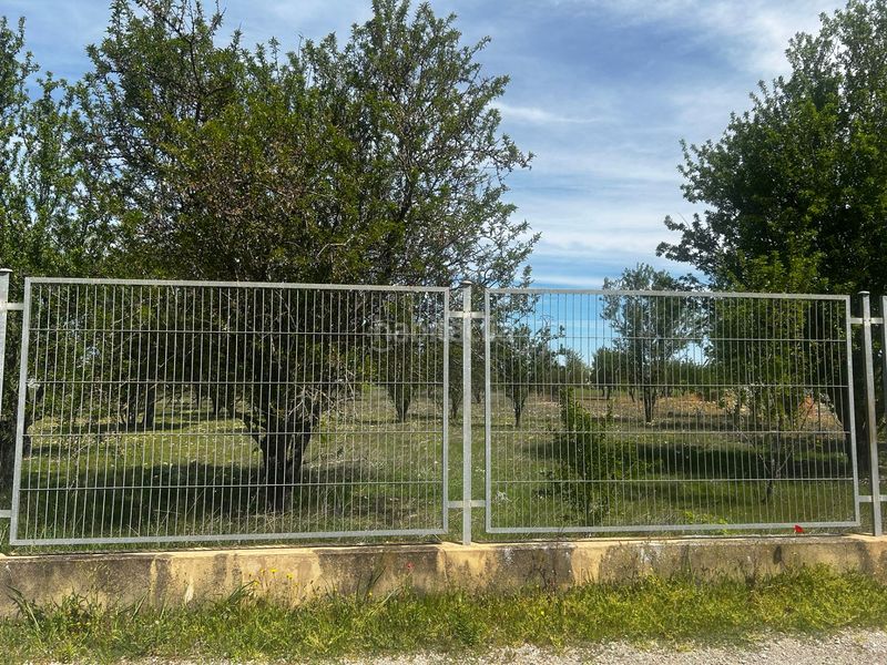 Foto 13b09e06-046d-434f-80cc-97f6e3105c32. Finca rústica a Miguelturra