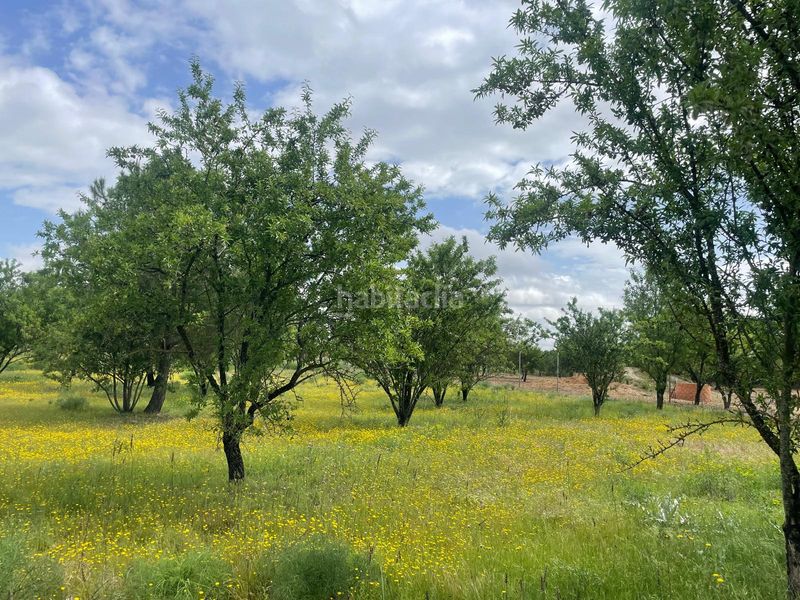 Foto 6d3e3ae2-7334-47e9-98bd-a80b62458639. Finca rústica a Miguelturra