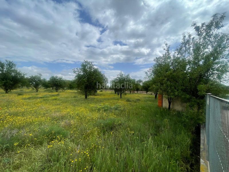Foto e48a2a96-5d18-4799-9071-3d0121fbbd76. Finca rústica a Miguelturra