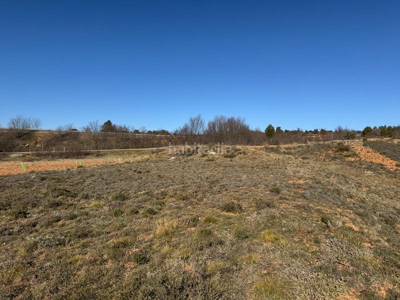 Foto 850b8d0b-83fc-49eb-9876-4f83700098dc. Finca rústica terreno en venta en Albentosa