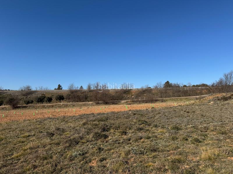 Foto 875c7fe6-7bfe-4787-acc6-3fd89c083c37. Finca rústica terreno en venta en Albentosa