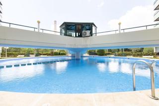 Rent Flat  Alameda. Magnífico piso en paseo de la alameda