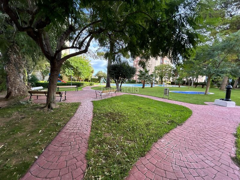 Foto c94e8119-904f-46b7-beed-314293ac6289. Pis a calle serrans 2 a Platja de la Pobla de Farnals Pobla de Farnals (la)