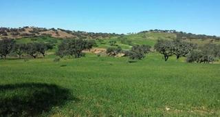 Bauernhof in Puebla de Guzmán. Gran finca de dehesa en producción en huelva naturaleza, rentabi