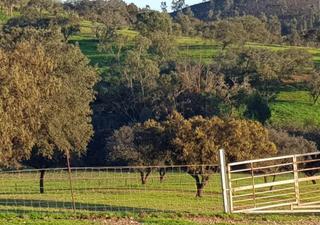 Masia a Puebla de Guzmán. Gran finca de dehesa en producción en huelva naturaleza, rentabi