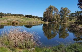 Masia en Puebla de Guzmn. Gran finca de dehesa en produccin en huelva naturaleza, rentabi