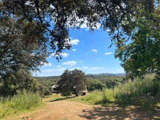 Masia a Alanís. Finca dehesa productiva y con encanto en el parque natural sierr
