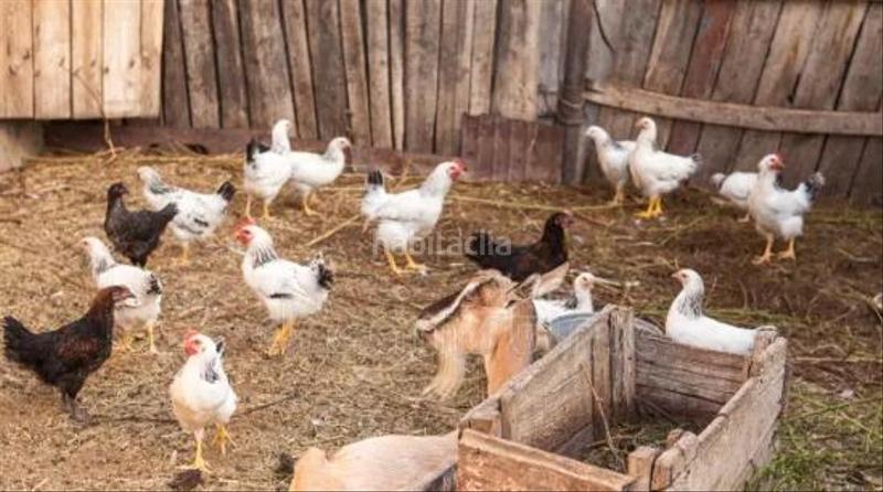 Foto 47261200-e7f6-4ebd-a3bb-2fdd66623db3. Masia amb aparcament a Alanís