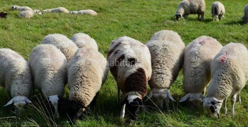 Foto 86ce853c-caf9-4fd4-a84c-cbbfd0b15964. Masia amb aparcament a Alanís