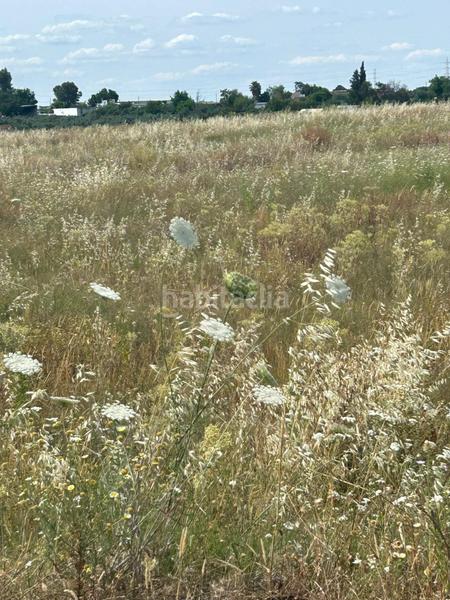 Foto 9a14ef1d-f84d-4891-beea-3c16b70d180a. Masia amb aparcament a Alanís