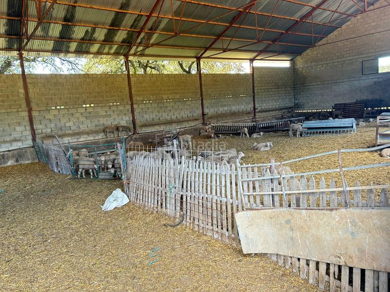 Foto 9b19b29b-64ae-4574-905f-fb3ce82368ab. Masia amb aparcament a Alanís