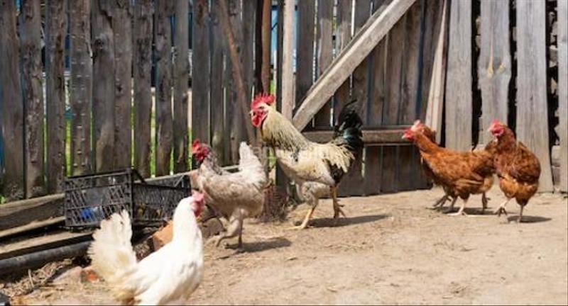 Foto dd35ccff-62df-4510-b3b2-12da84eef4e5. Masia amb aparcament a Alanís