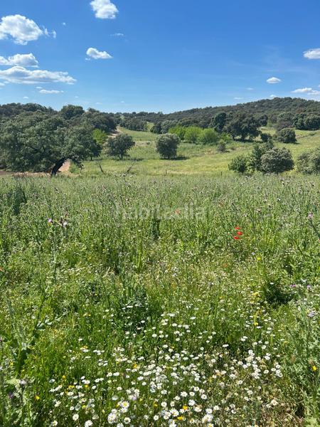 Foto 07b09fb9-1f5f-403f-8b52-589a5befa54d. Masía finca productiva y con encanto en el parque natural sierra norte inversión con alma y futuro en Alanís
