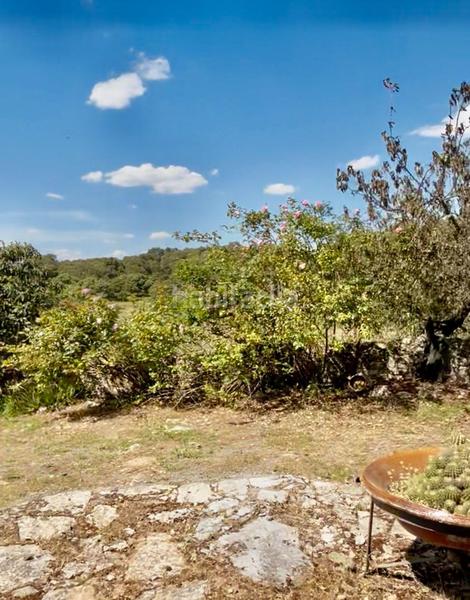 Foto 098af7ae-8a3b-4291-b8d4-bc2fa361c8e9. Masía finca productiva y con encanto en el parque natural sierra norte inversión con alma y futuro en Alanís