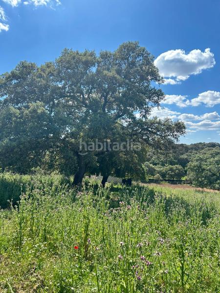 Foto 0d16a740-3717-4f33-b1d6-77ff5e781e63. Masía finca productiva y con encanto en el parque natural sierra norte inversión con alma y futuro en Alanís