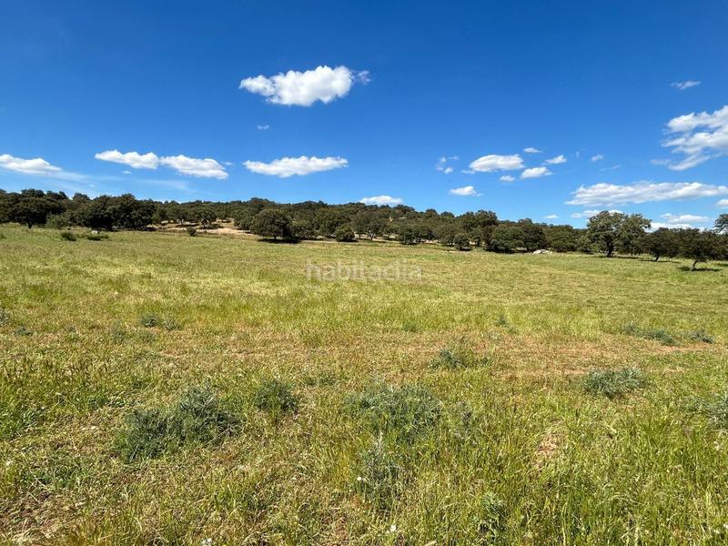 Foto 11710794-9039-45af-9c0a-5965ab63538b. Masía finca productiva y con encanto en el parque natural sierra norte inversión con alma y futuro en Alanís