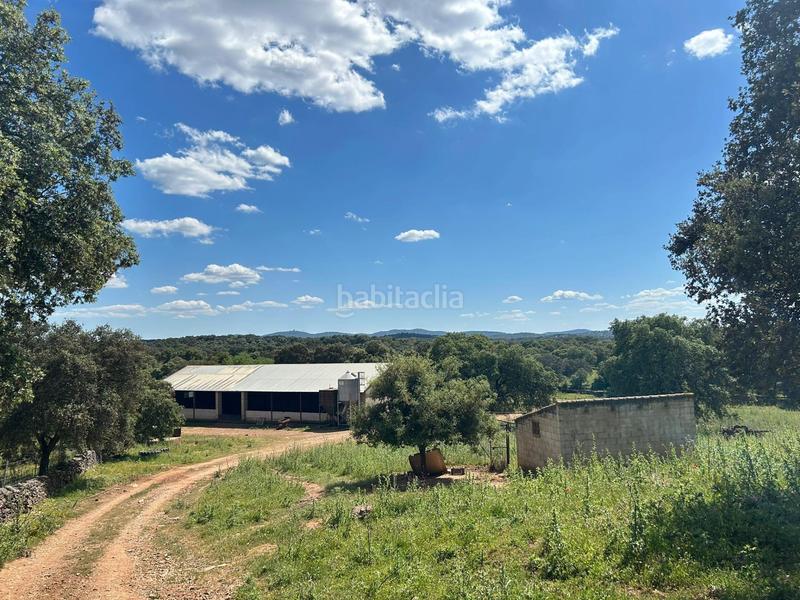 Foto 24daf689-90e8-4d47-ba96-ec9d78893a1a. Masía finca productiva y con encanto en el parque natural sierra norte inversión con alma y futuro en Alanís
