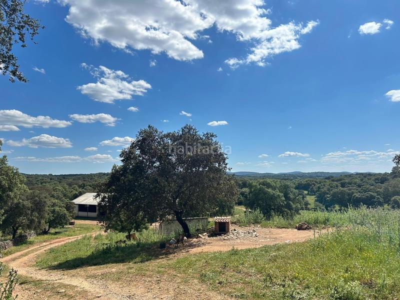 Foto 260965f6-e796-4e2c-bb9f-6b576515203f. Masía finca productiva y con encanto en el parque natural sierra norte inversión con alma y futuro en Alanís