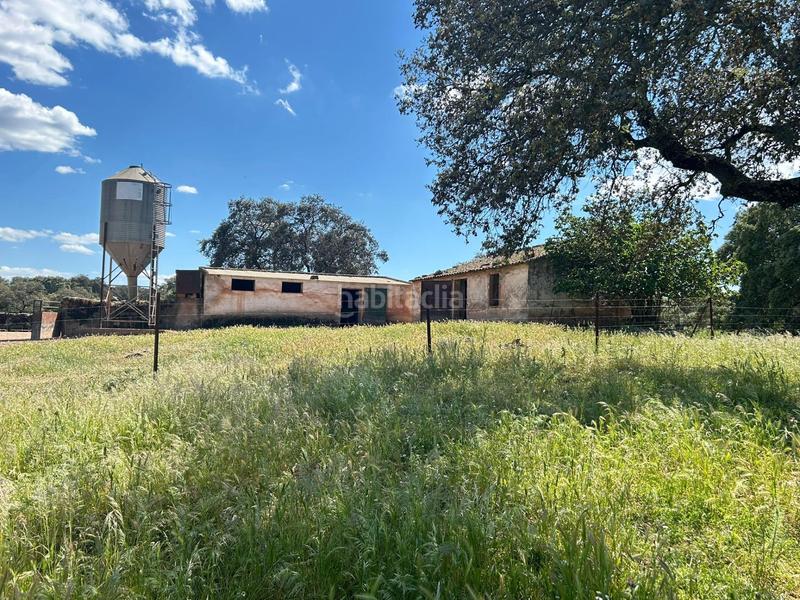 Foto 43511c5e-10fc-4893-b723-73846a25cbe8. Masía finca productiva y con encanto en el parque natural sierra norte inversión con alma y futuro en Alanís
