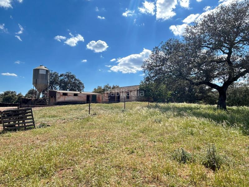 Foto 9027481a-f038-400d-9d9a-0a0f8cd8fca9. Masía finca productiva y con encanto en el parque natural sierra norte inversión con alma y futuro en Alanís