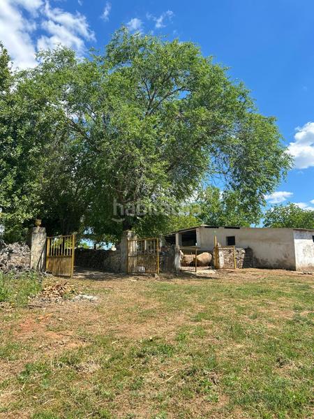 Foto a912eb1e-c87f-4222-a153-3185ba2798a6. Masía finca productiva y con encanto en el parque natural sierra norte inversión con alma y futuro en Alanís
