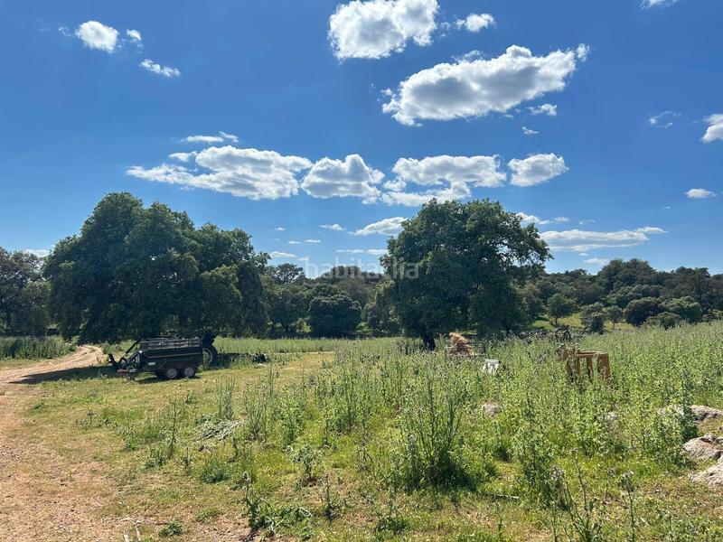 Foto af0968f6-318e-4de4-8573-f88ce0d8f7c6. Masía finca productiva y con encanto en el parque natural sierra norte inversión con alma y futuro en Alanís