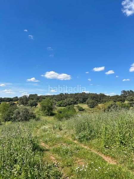 Foto bbf145a4-6d20-41ef-9a01-7b69c50bd170. Masía finca productiva y con encanto en el parque natural sierra norte inversión con alma y futuro en Alanís