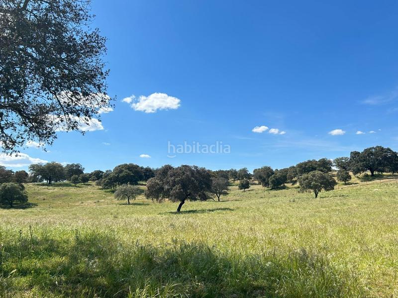 Foto f21b9ffe-a9c0-4b22-a89f-dca24a34edff. Masía finca productiva y con encanto en el parque natural sierra norte inversión con alma y futuro en Alanís