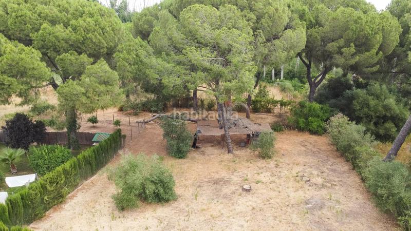 Foto 3daa0a25-4ae5-4657-ac1c-03e75e0f0a26. Chalet tu refugio natural a un paso de doñana y las playas de huelva en Hinojos
