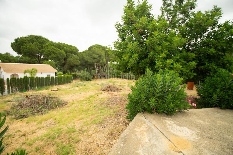 Foto 41c0488d-eb2a-4609-a60f-ef1895e92284. Chalet tu refugio natural a un paso de doñana y las playas de huelva en Hinojos