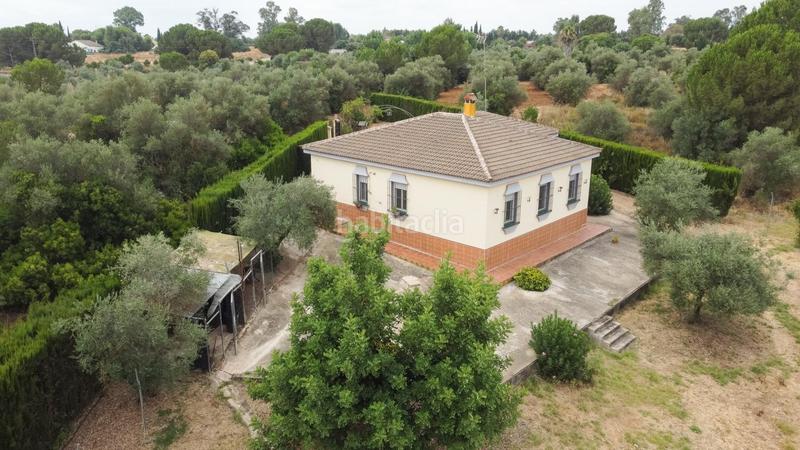 Foto f64a45e5-f65c-4581-85ca-966c0411849a. Chalet tu refugio natural a un paso de doñana y las playas de huelva en Hinojos