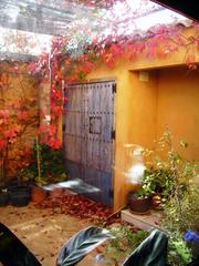 Haus in Calera de León. Tu refugio secreto en el corazón del bosque